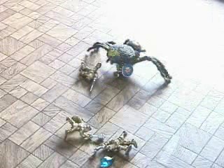 Knights Vs. Monsters